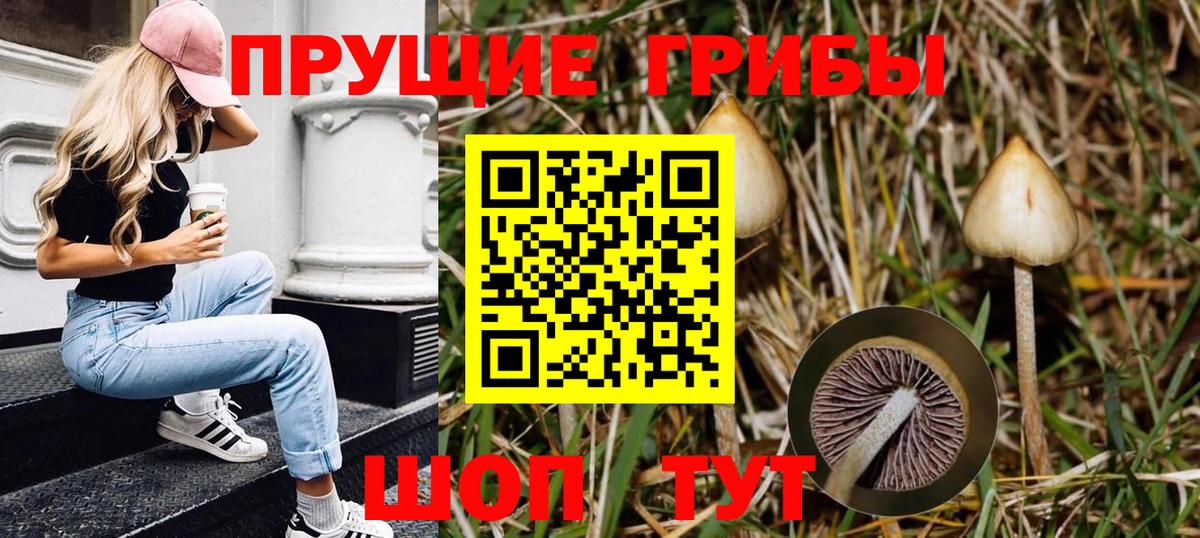 Рязань  Галлюциногенные грибы мухоморы  Вход с VPN 